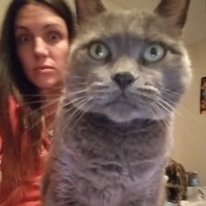 Meet your Posher, Katie